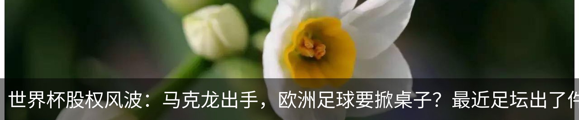 新闻中心