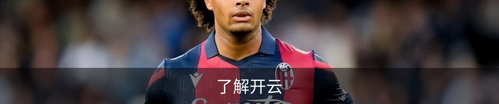 了解开云