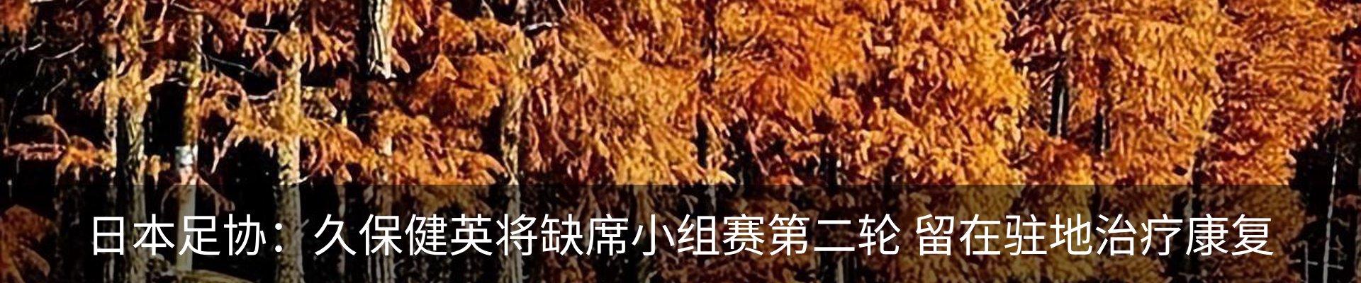 新闻中心