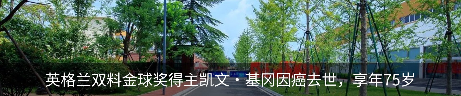 新闻中心
